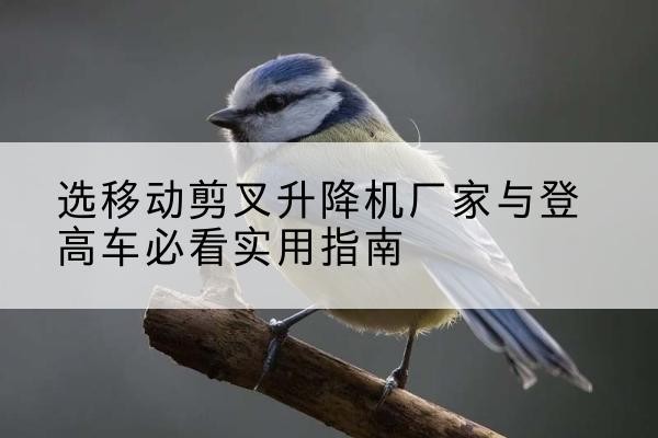 开福电动升降机厂家-选移动剪叉升降机厂家与登高车必看实用指南