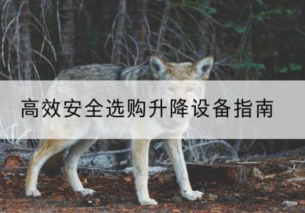 开福升降货梯厂家推荐-*安全选购升降设备指南