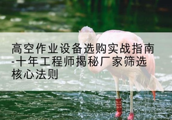 开福剪叉式升降机厂家-高空作业设备选购实战指南-十年工程师揭秘厂家筛选核心法则